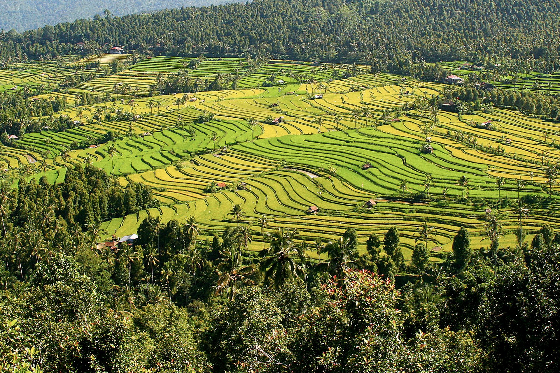 Bali - Laurence AMEU - Sophrologue - Sophro-coach sport et entreprise ...