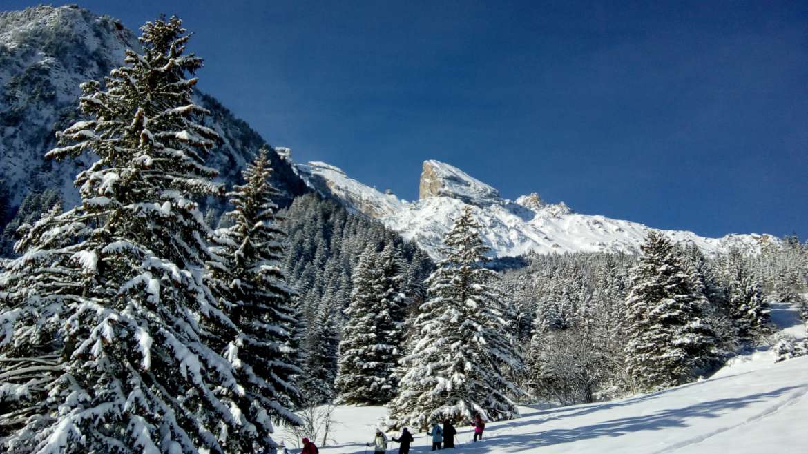 RAQUETTES A NEIGE :  sur mesure : Courchevel/Méribel/ Peisey…