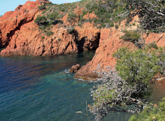 Maures et Esterel